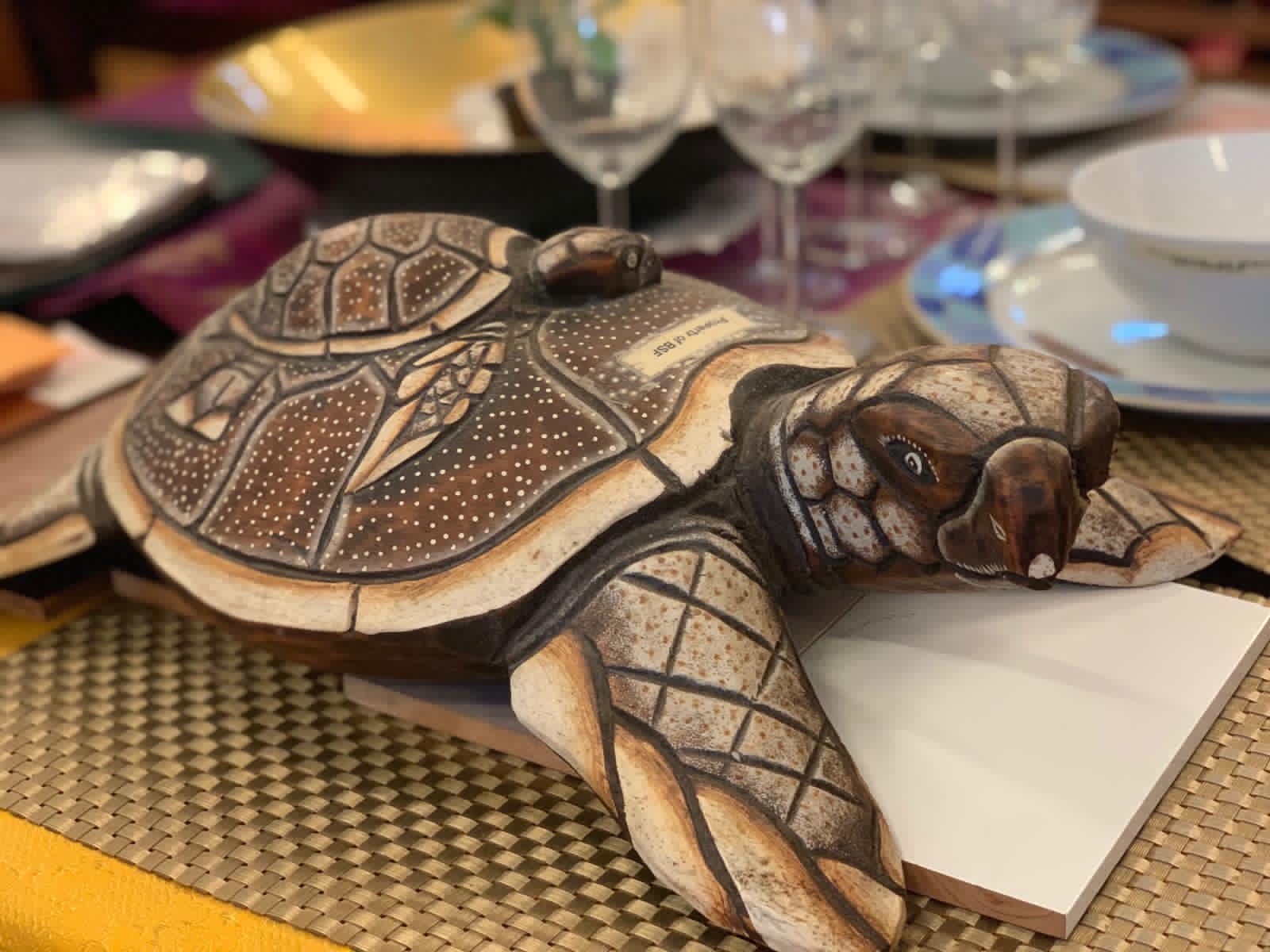 BALIX Turtles Handicraft - Image 4